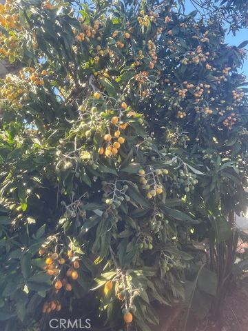 928 W Buffington, Upland, CA 91784