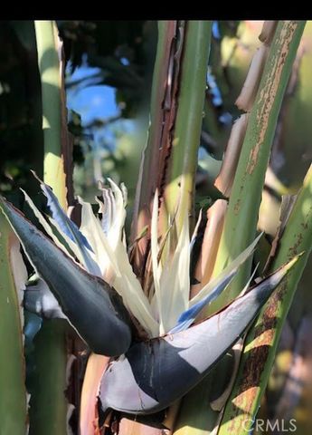 928 W Buffington, Upland, CA 91784