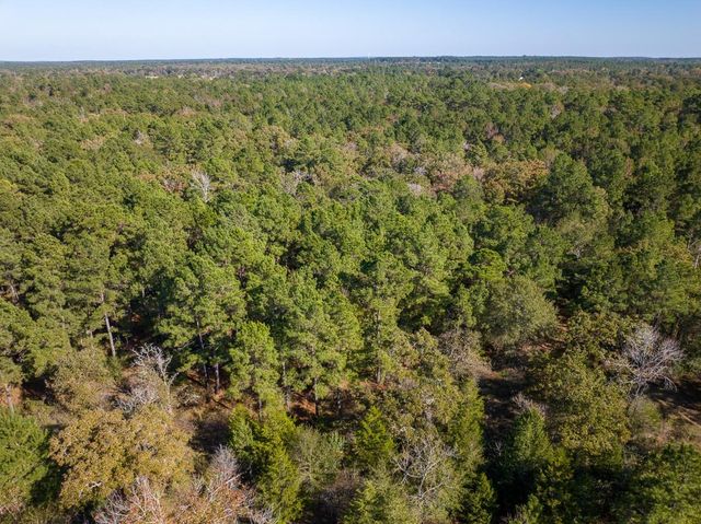 80 Rosenwall Road, Huntsville, TX 77320