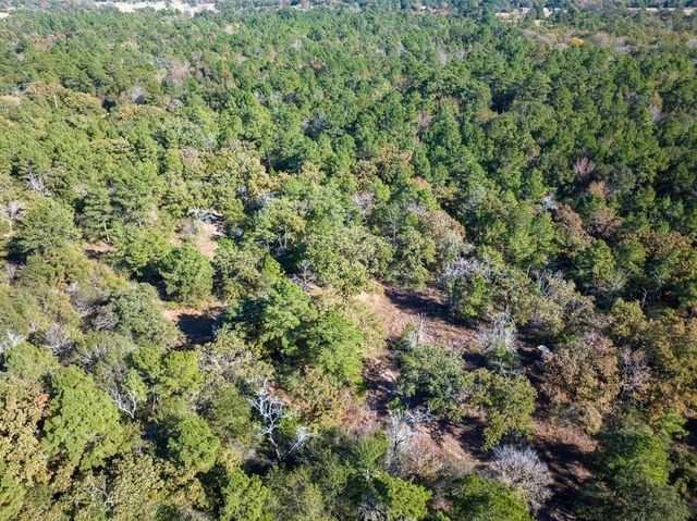 80 Rosenwall Road, Huntsville, TX 77320