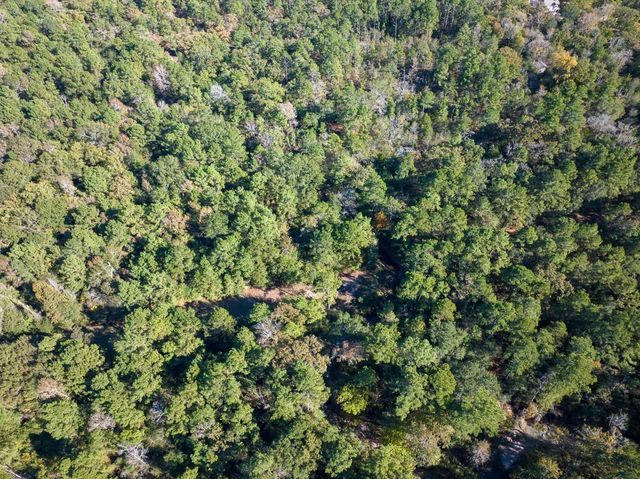 80 Rosenwall Road, Huntsville, TX 77320