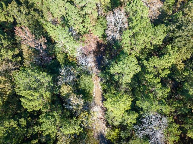 80 Rosenwall Road, Huntsville, TX 77320