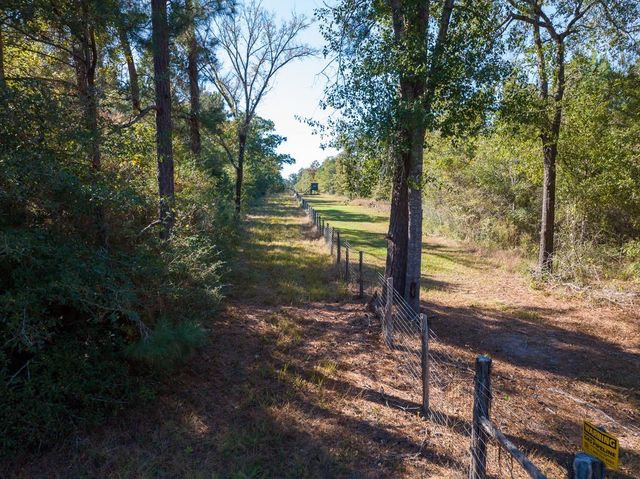 80 Rosenwall Road, Huntsville, TX 77320