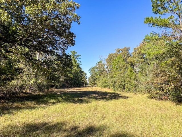 80 Rosenwall Road, Huntsville, TX 77320