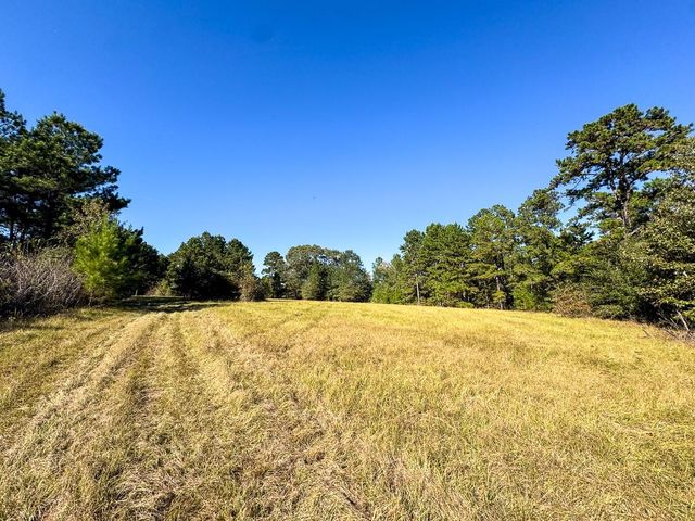 80 Rosenwall Road, Huntsville, TX 77320