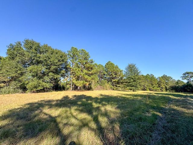 80 Rosenwall Road, Huntsville, TX 77320