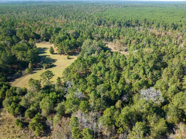 80 Rosenwall Road, Huntsville, TX 77320