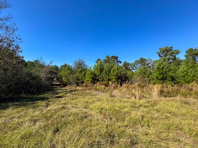 80 Rosenwall Road, Huntsville, TX 77320