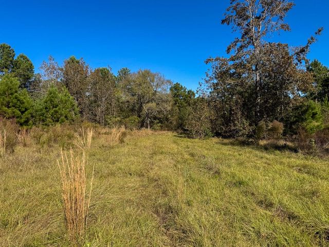 80 Rosenwall Road, Huntsville, TX 77320