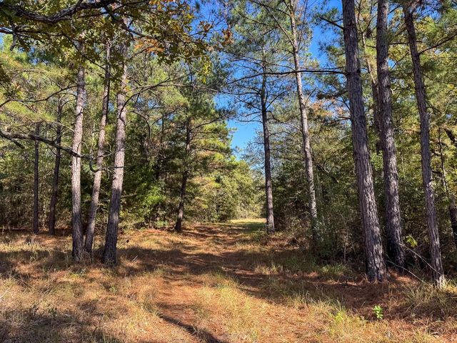 80 Rosenwall Road, Huntsville, TX 77320