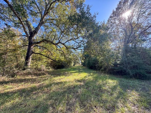 80 Rosenwall Road, Huntsville, TX 77320