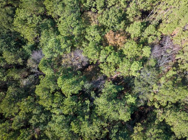 80 Rosenwall Road, Huntsville, TX 77320