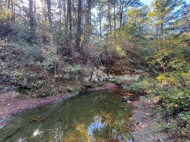 80 Rosenwall Road, Huntsville, TX 77320