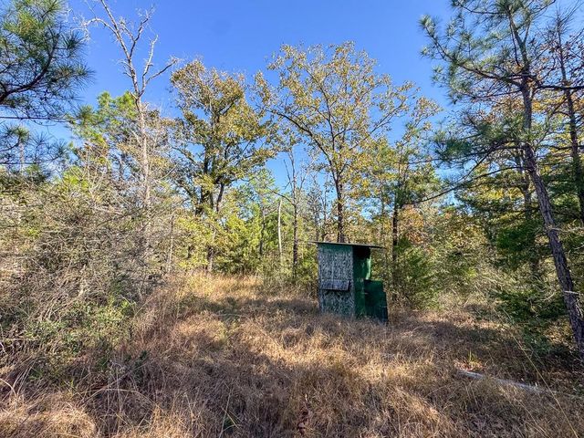 80 Rosenwall Road, Huntsville, TX 77320