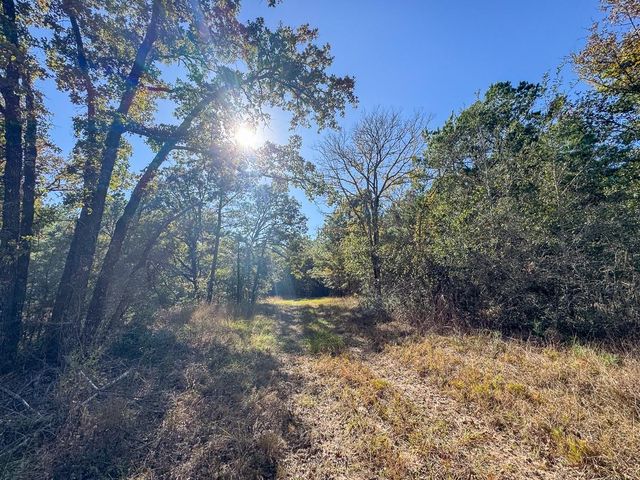 80 Rosenwall Road, Huntsville, TX 77320