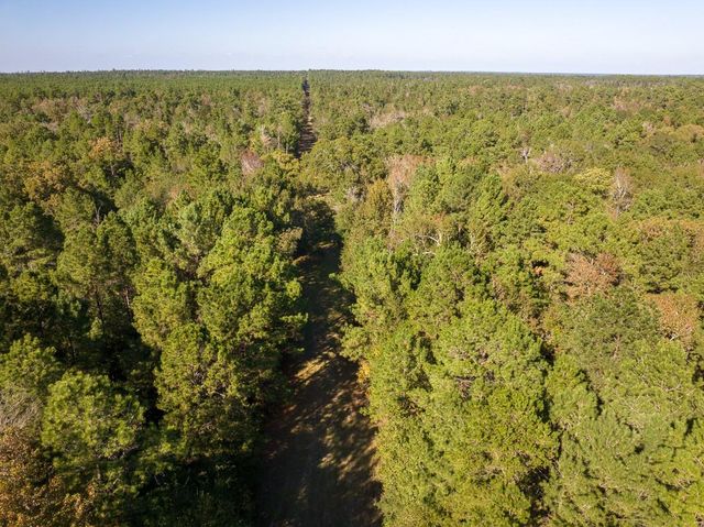 80 Rosenwall Road, Huntsville, TX 77320