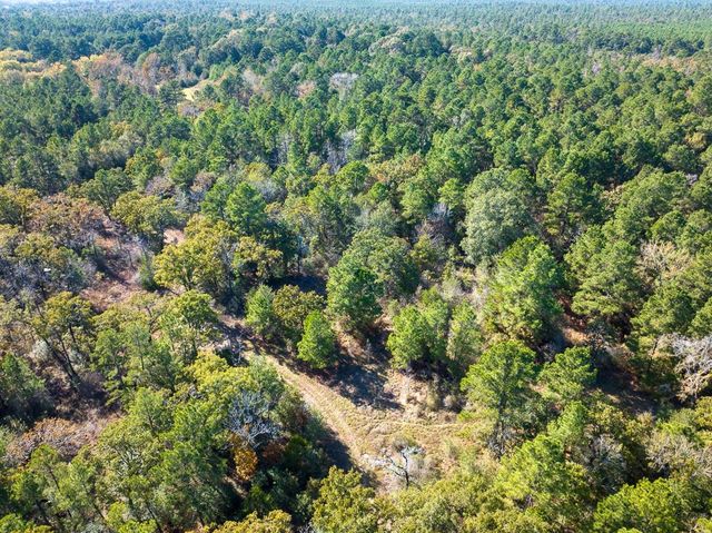 80 Rosenwall Road, Huntsville, TX 77320