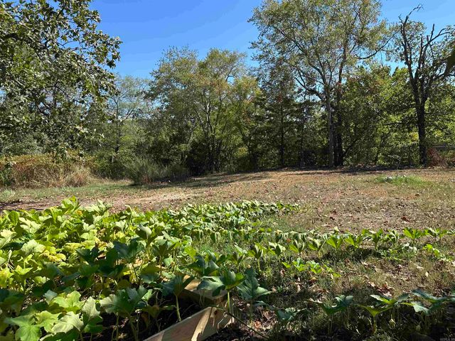 112 Oklahoma St Street, Hot Springs, AR 71901