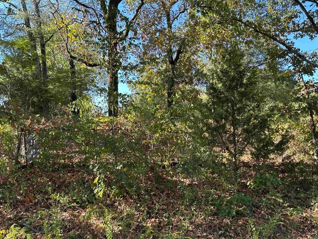 112 Oklahoma St Street, Hot Springs, AR 71901