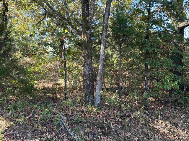 112 Oklahoma St Street, Hot Springs, AR 71901