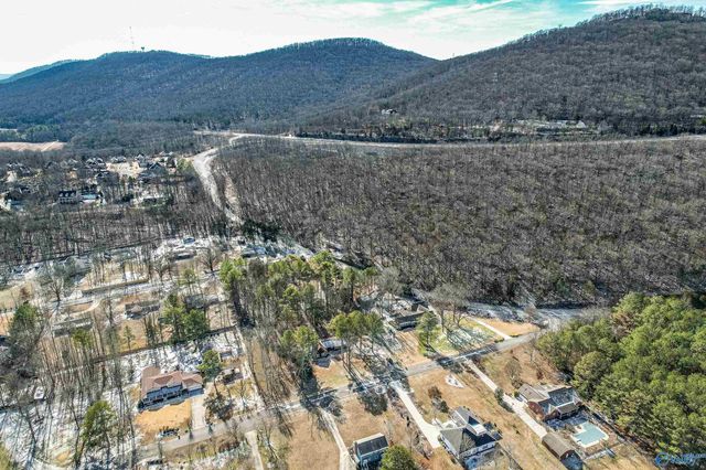 13 Dug Hill Road, Brownsboro, AL 35741