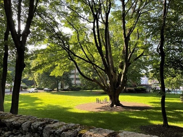 22 Chestnut Pl M4, Brookline, MA 02445