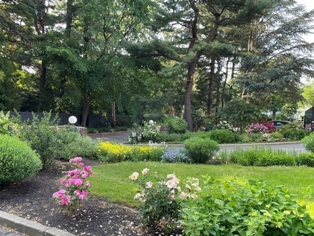 22 Chestnut Pl M4, Brookline, MA 02445
