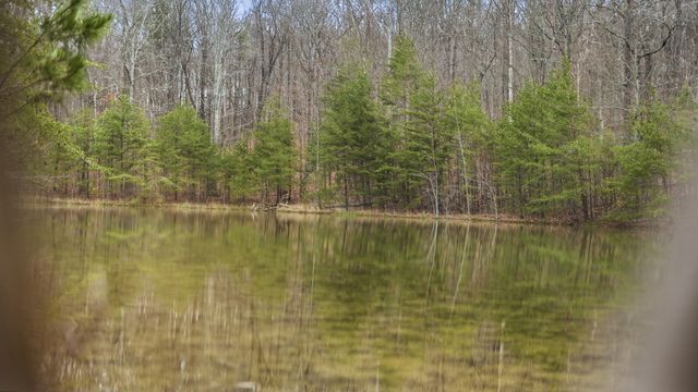 0 Bob Cat Trail, Dunlap, TN 37327