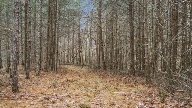 0 Bob Cat Trail, Dunlap, TN 37327