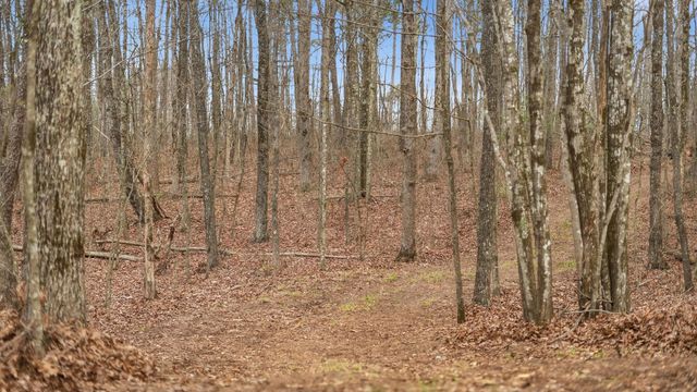 0 Bob Cat Trail, Dunlap, TN 37327