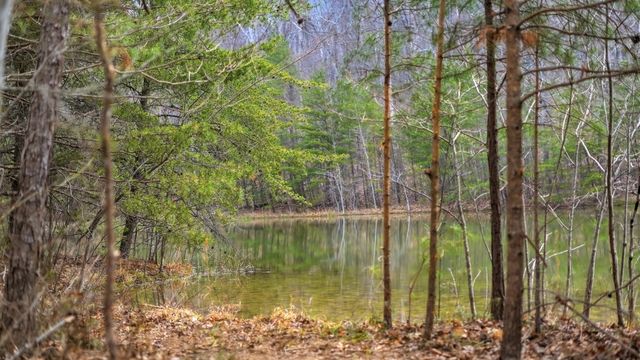 0 Bob Cat Trail, Dunlap, TN 37327