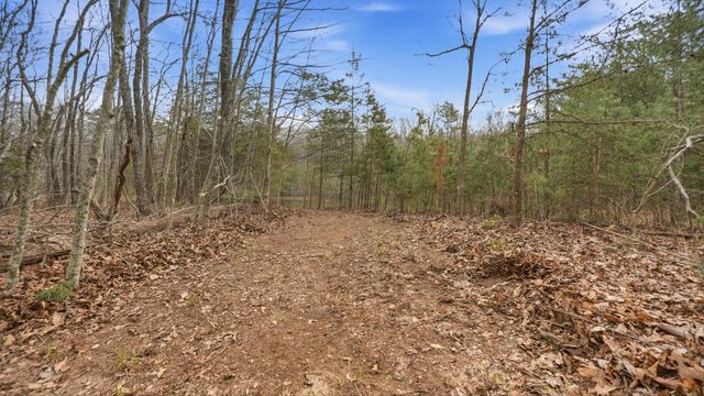 0 Bob Cat Trail, Dunlap, TN 37327