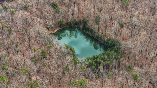 0 Bob Cat Trail, Dunlap, TN 37327