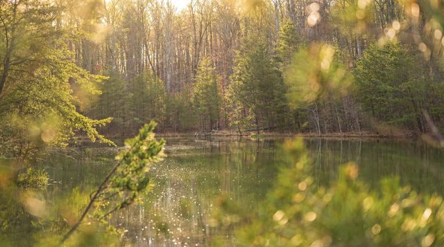 0 Bob Cat Trail, Dunlap, TN 37327