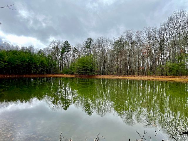 0 Bob Cat Trail, Dunlap, TN 37327