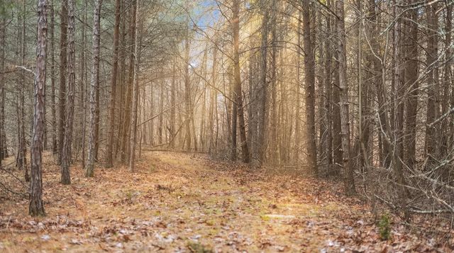 0 Bob Cat Trail, Dunlap, TN 37327