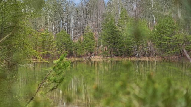 0 Bob Cat Trail, Dunlap, TN 37327