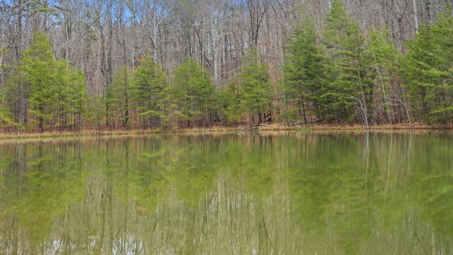 0 Bob Cat Trail, Dunlap, TN 37327