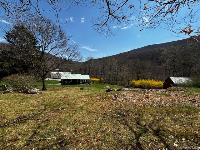 711 Sundown Road, Sundown, NY 12740