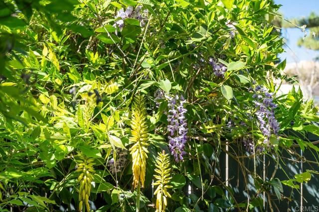 6960 Caminito Curva, San Diego, CA 92119