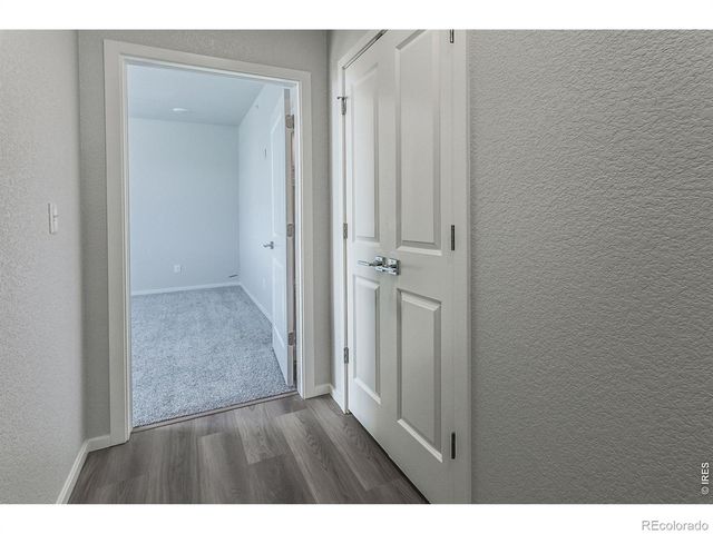 1811 Bounty Drive 1, Windsor, CO 80550