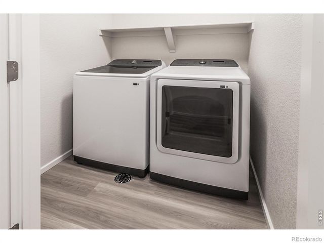 1811 Bounty Drive 1, Windsor, CO 80550