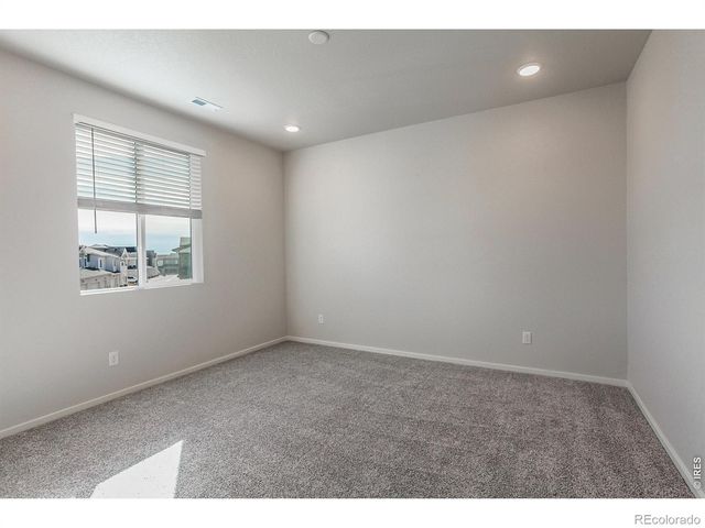 1811 Bounty Drive 1, Windsor, CO 80550