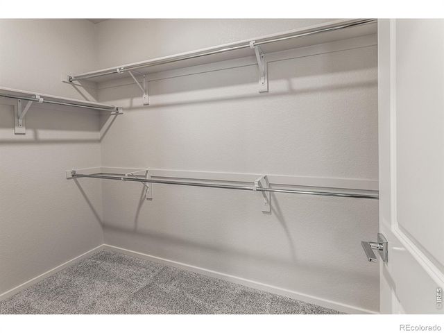 1811 Bounty Drive 1, Windsor, CO 80550