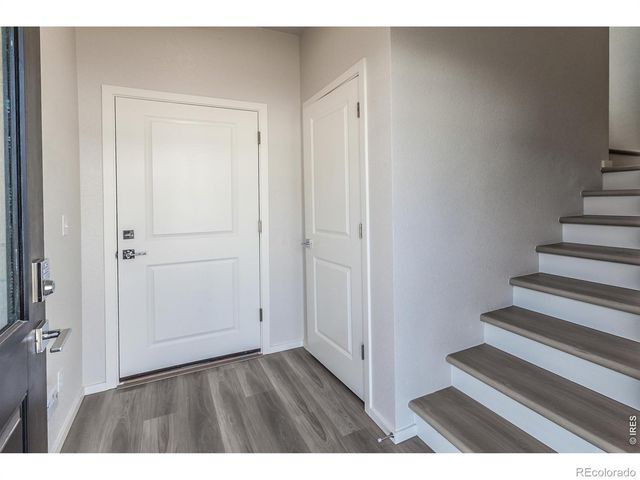 1811 Bounty Drive 1, Windsor, CO 80550