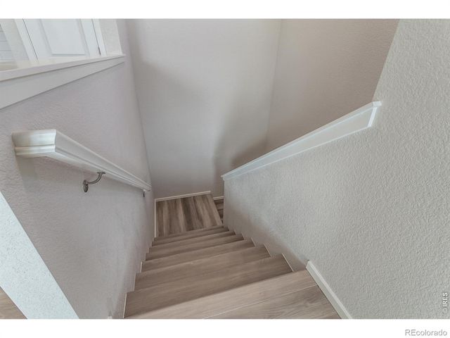 1811 Bounty Drive 1, Windsor, CO 80550