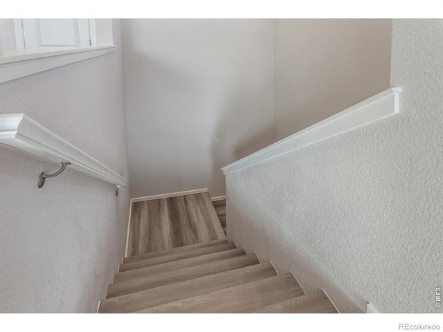 1811 Bounty Drive 1, Windsor, CO 80550