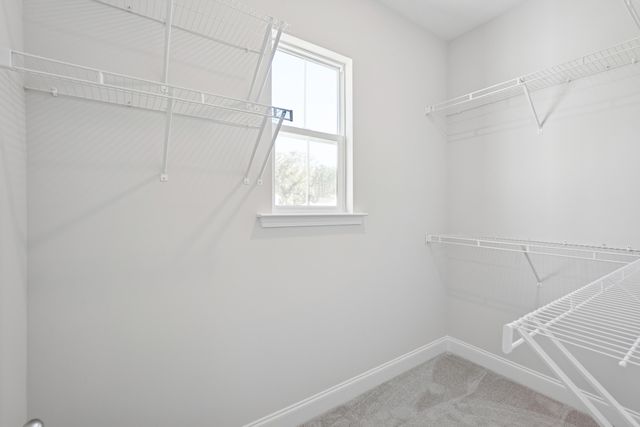 162 Claret Cup Way, Charleston, SC 29414