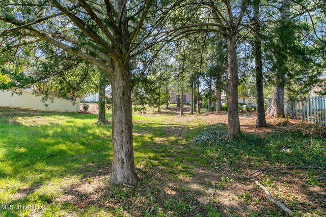 143 Overlook Pointe Drive, Ridgeland, MS 39157