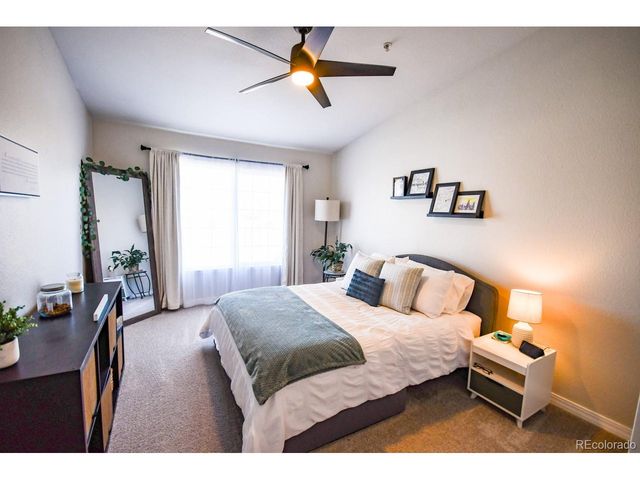 479 Black Feather Loop 3-319, Castle Rock, CO 80104